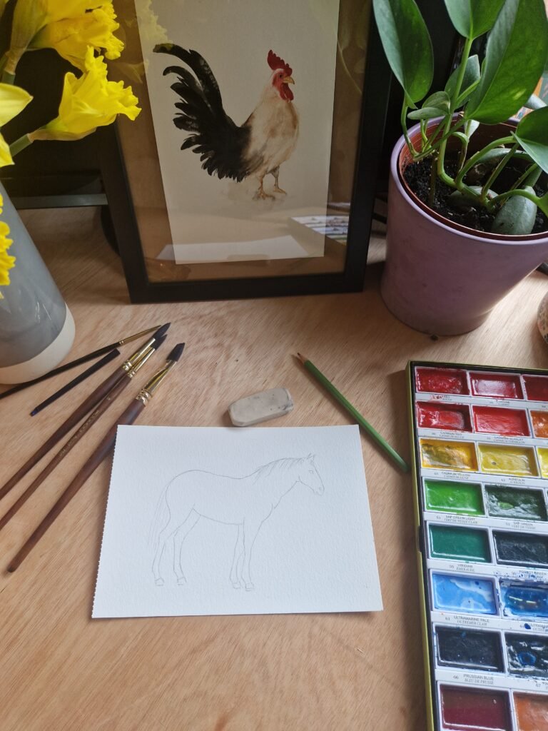Brown Horse Sketching Process