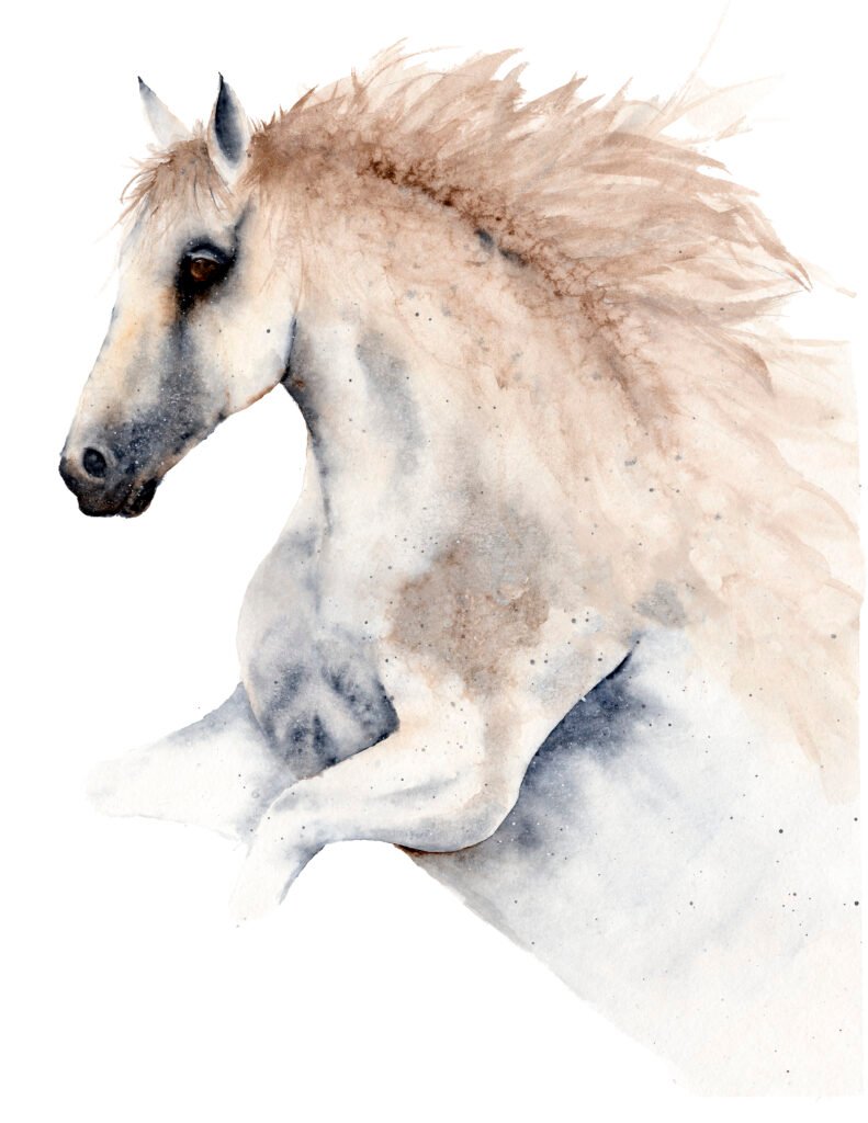 Original watercolour painting of a white horse portrait with soft flowing mane on white background, by UK watercolour artist