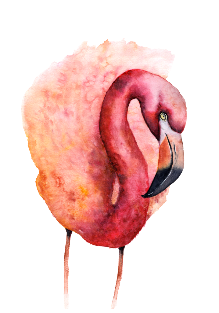 pink-flamingo-watercolour-art