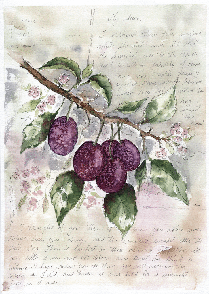 print-watercolour-summer-plums-and-prose