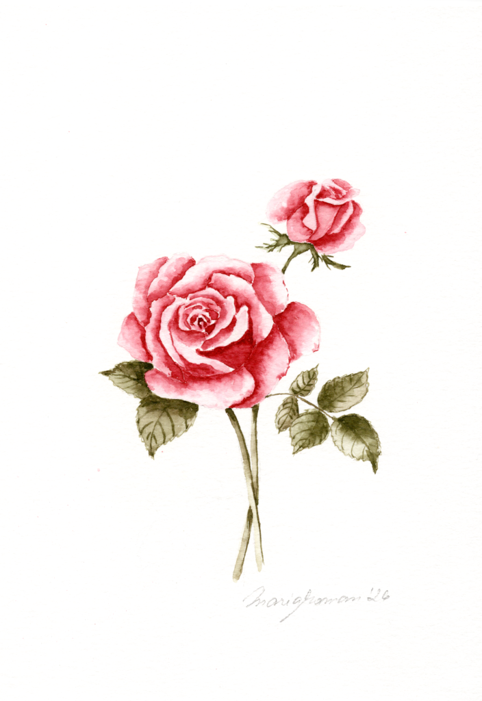 red-rose-garden-watercolour-painting-art