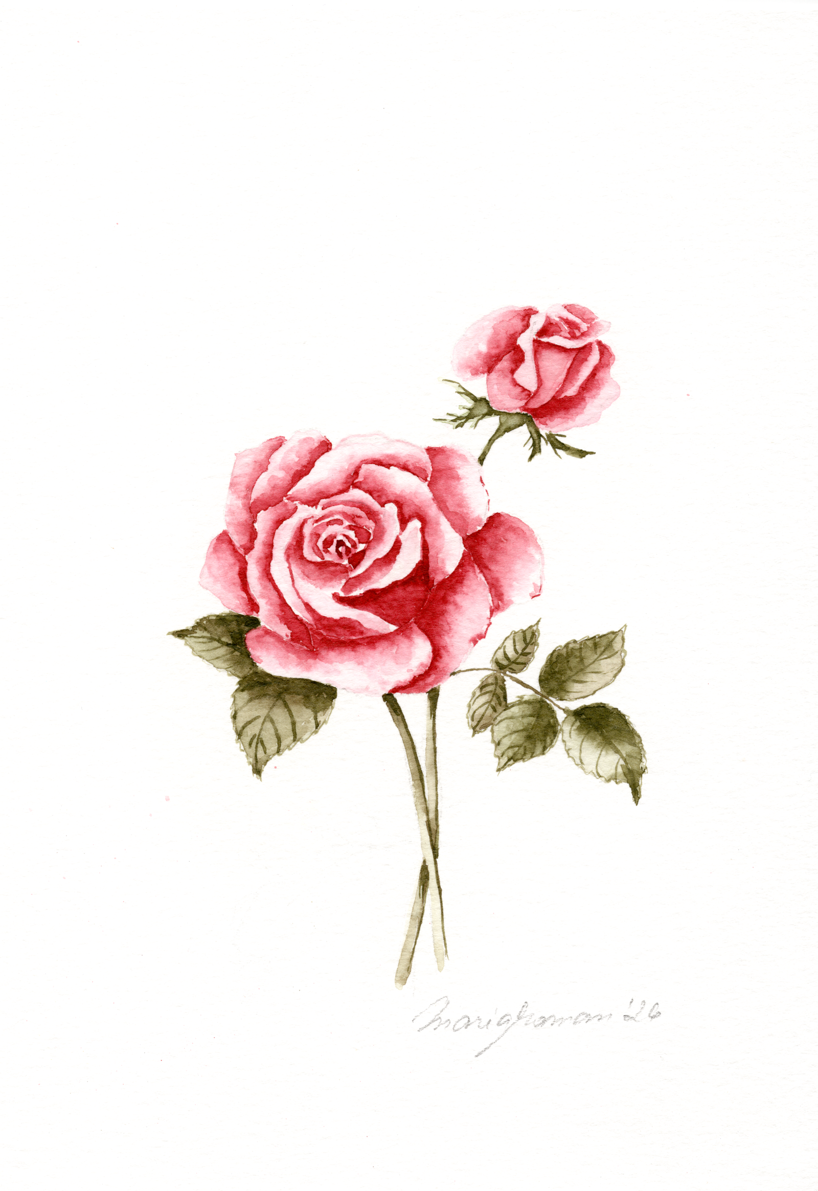 red-rose-garden-watercolour-painting-art