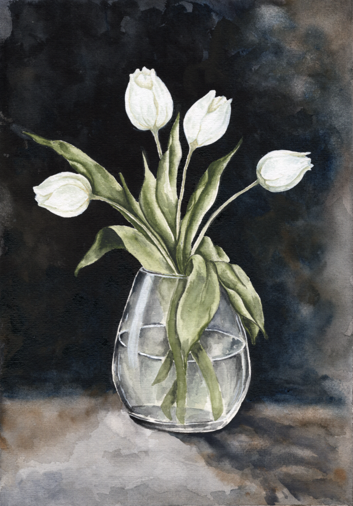 Hand-painted white tulips on a dark moody background