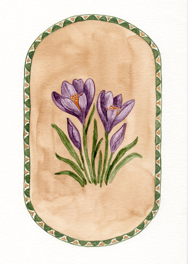 purple-crocus-watercolour-painting