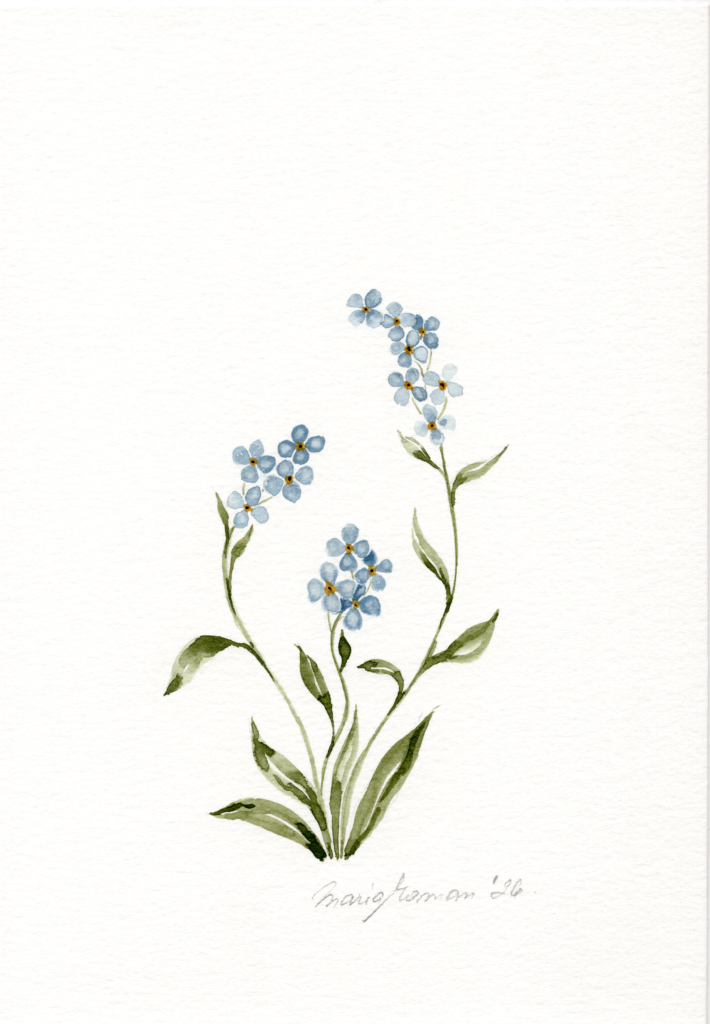 forget-me-nots-watercolour-painting