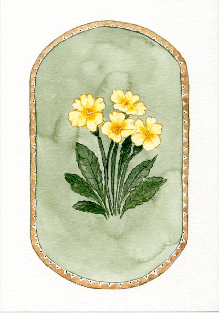yellow-primrose-botanical-art-watercolour