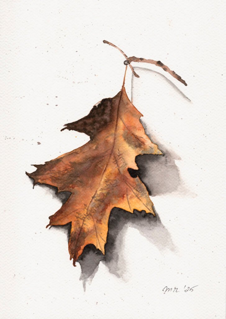 autumn-oak-leaf-botanical-art