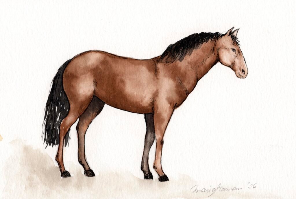bay-horse-watercolour-art