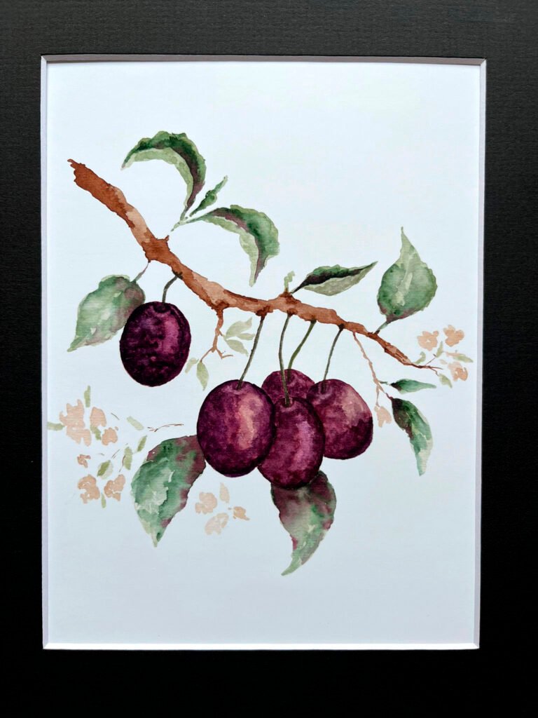 print-watercolour-plum-on-branch