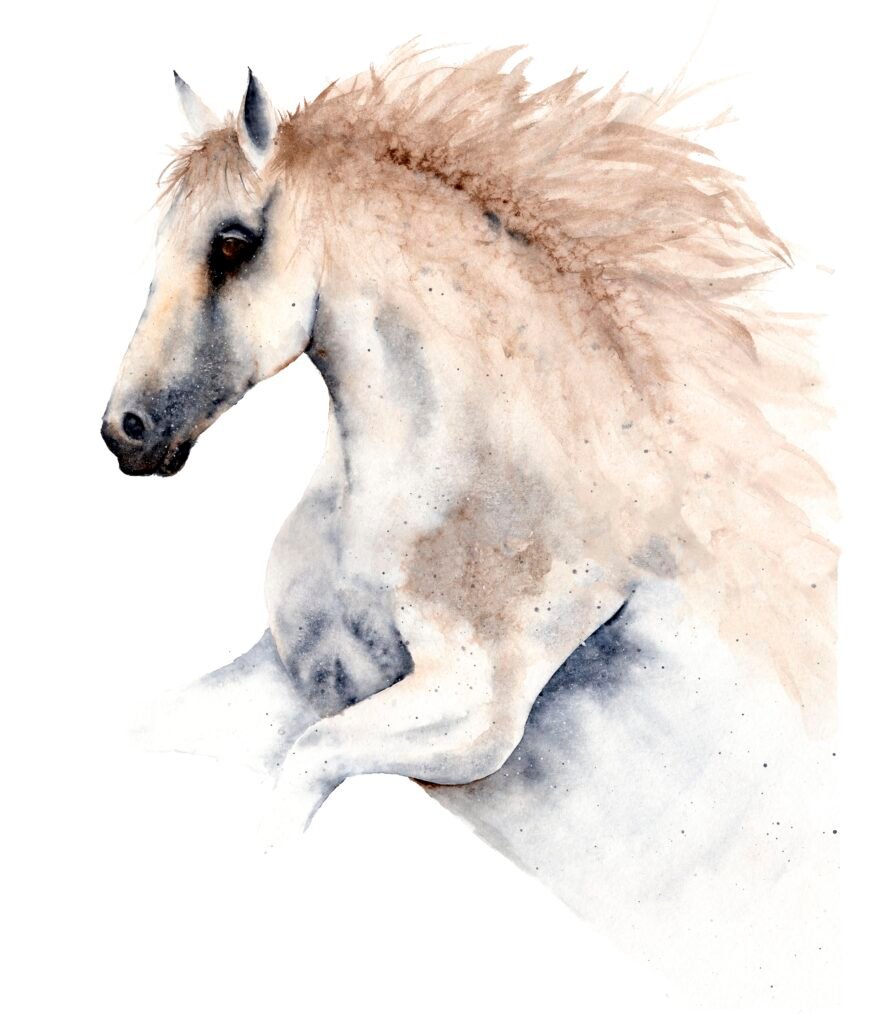white-horse-portrait-botanical-art