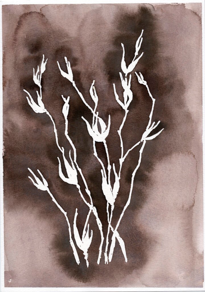 dried-winter-stems-botanical-art-watercolour