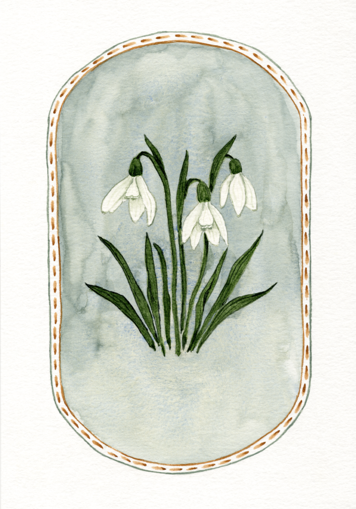 white-snowdrops-botanical-art-watercolour