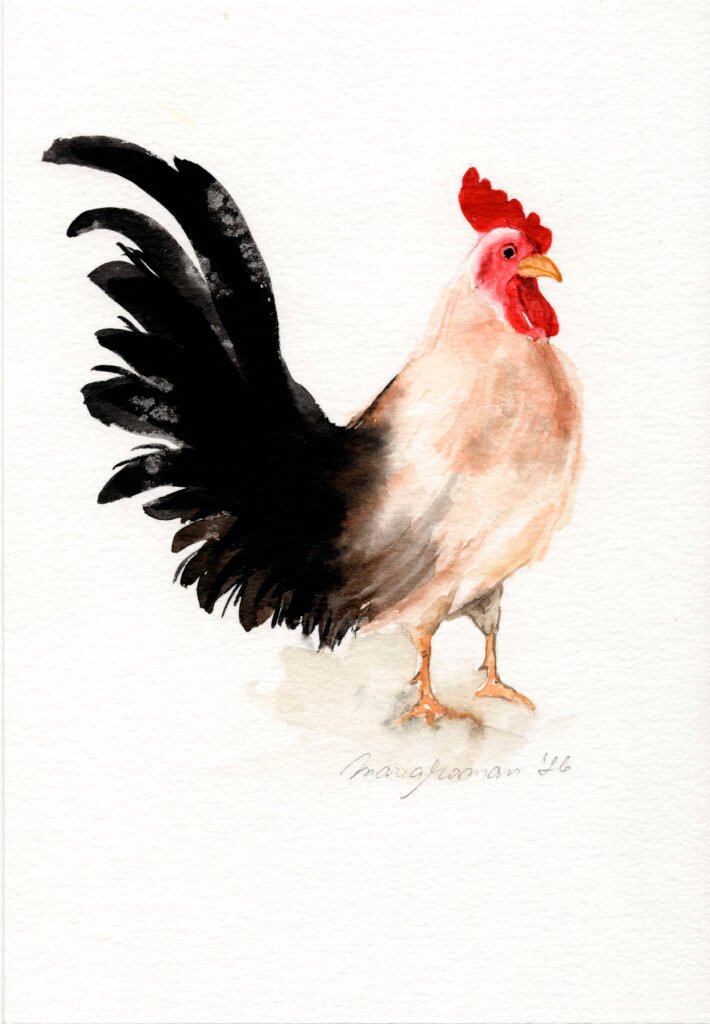 traditiona-english-cockerel-watercolour-art-work