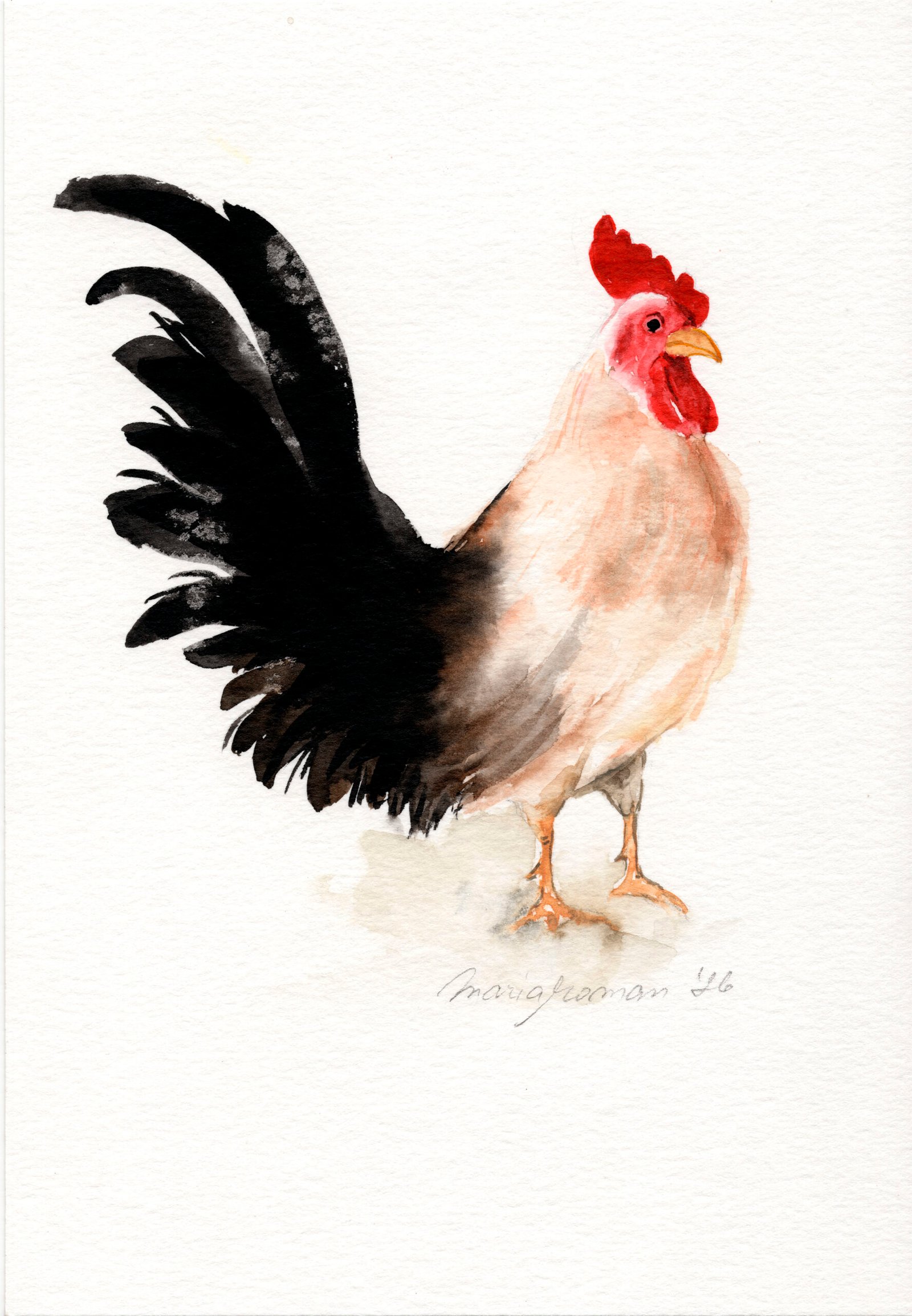 traditiona-english-cockerel-watercolour-art-work